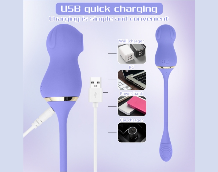 Egg Vibrator with Sucking 10
